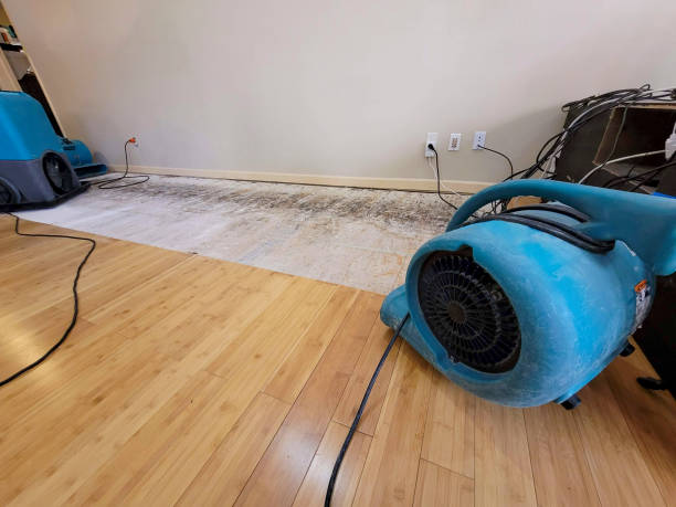 Professional Water Damage Repair technician working in Norwood, OH